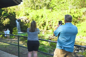 Maui: Private Road to Hana Rainforest and Waterfall Tour