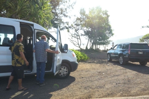 Maui: Private Road to Hana Rainforest and Waterfall Tour