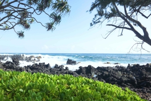 Maui: Private Road to Hana Rainforest and Waterfall Tour