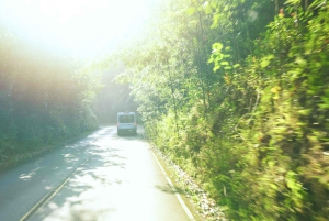 Maui: Private Road to Hana Rainforest and Waterfall Tour