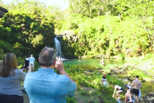 Maui: Private Road to Hana Rainforest and Waterfall Tour