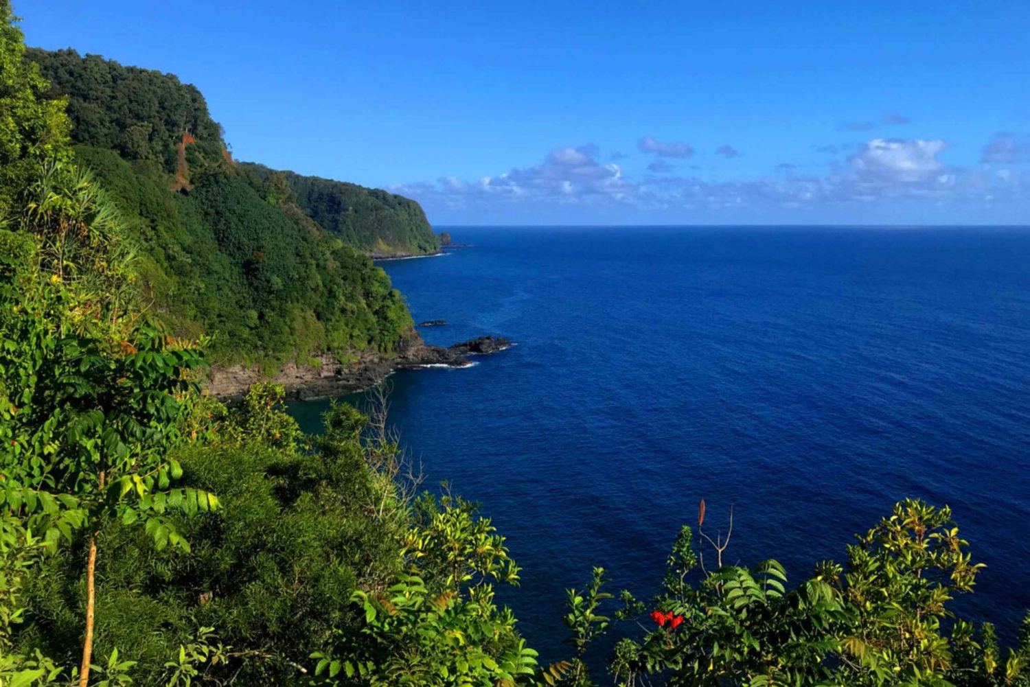 Maui: Private Road to Hana Tour mit Mahlzeiten