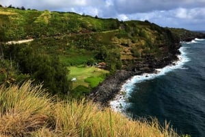 Maui: Private Road to Hana Tour with Meals