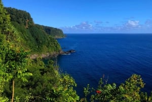 Maui: Private Road to Hana Tour with Meals