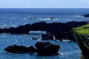 Maui: Private Road to Hana Tour with Meals