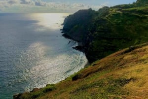 Maui: Private Road to Hana Tour with Meals