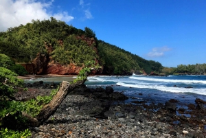 Maui: Private Road to Hana Tour mit Mahlzeiten