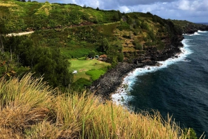 Maui: Private Road to Hana Tour mit Mahlzeiten