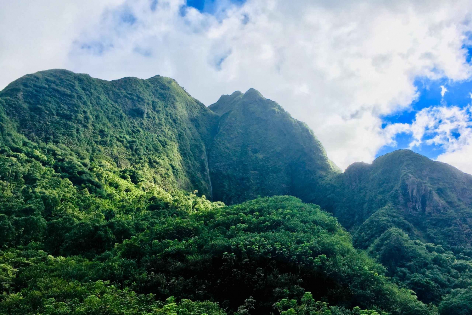 Maui Tour privado personalizado por la Isla del Valle