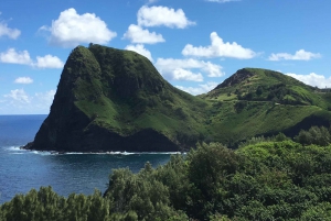 Maui: Private Valley Isle Customized Tour