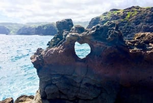 Maui: Privat skräddarsydd rundtur på Valley Isle