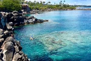 Maui: Privat, skreddersydd tur til Valley Isle