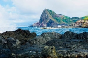 Maui: Yksityinen Valley Isle räätälöity kierros