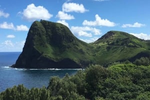 Maui : Visite privée personnalisée de Valley Isle