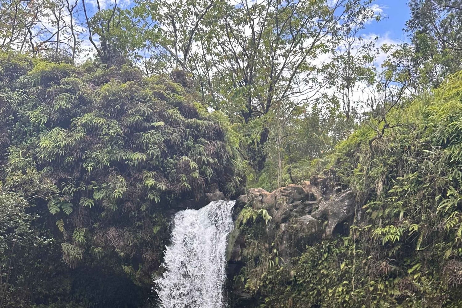 マウイ島：熱帯雨林アドベンチャー（写真付き）