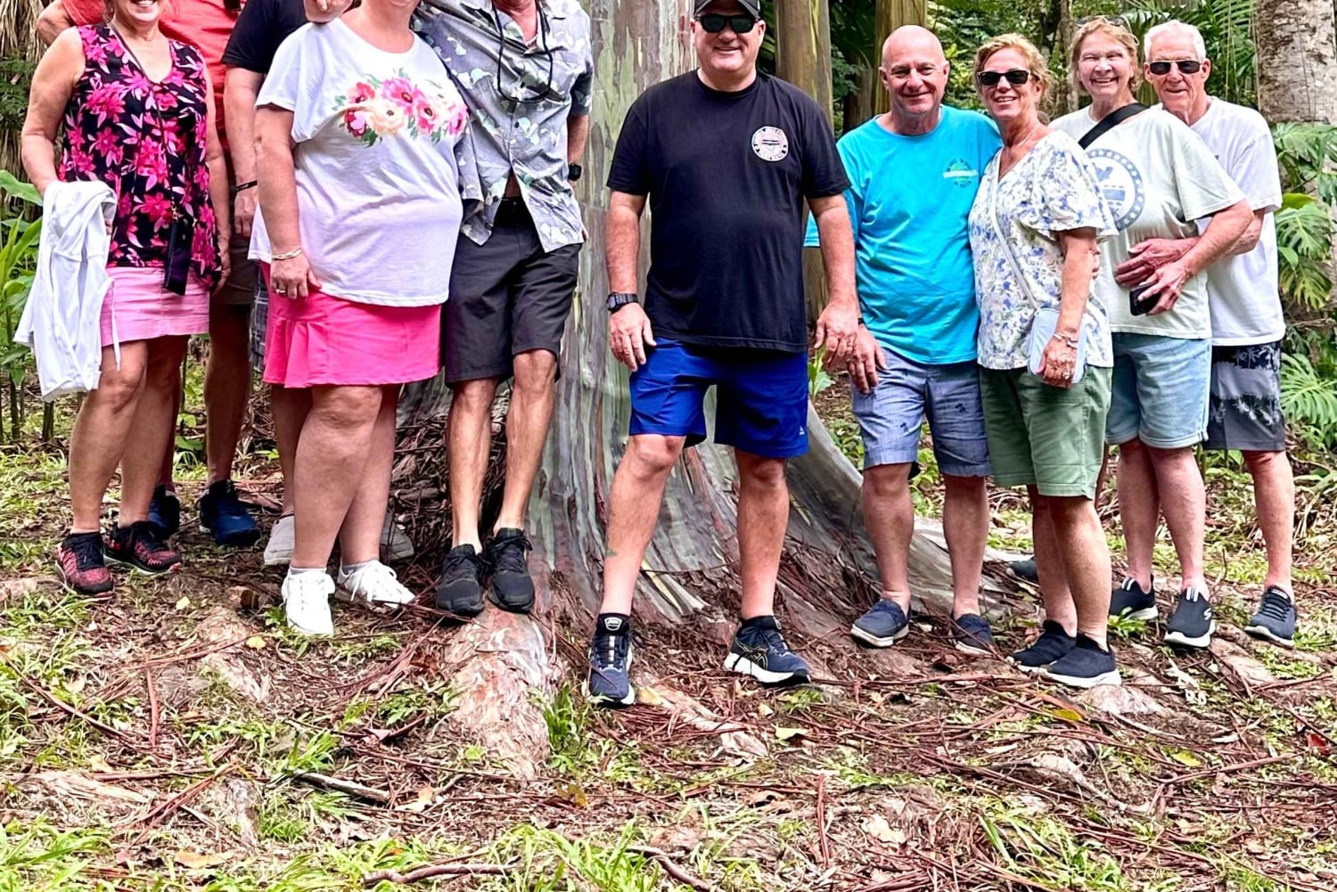 マウイ島：熱帯雨林アドベンチャー（写真付き）