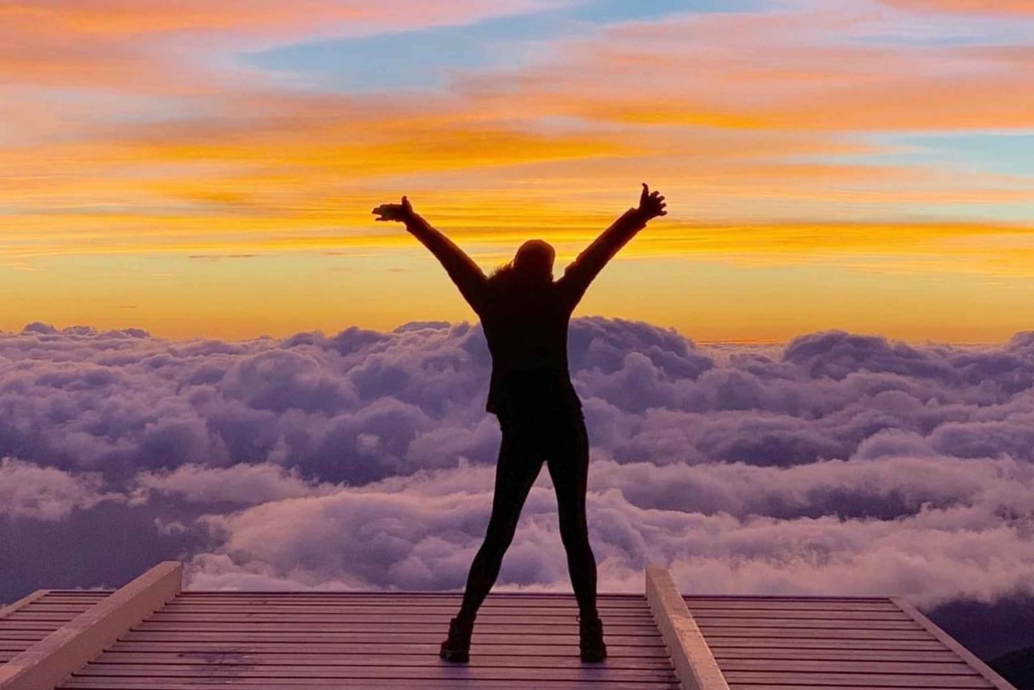 マウイ島：熱帯雨林アドベンチャー（写真付き）