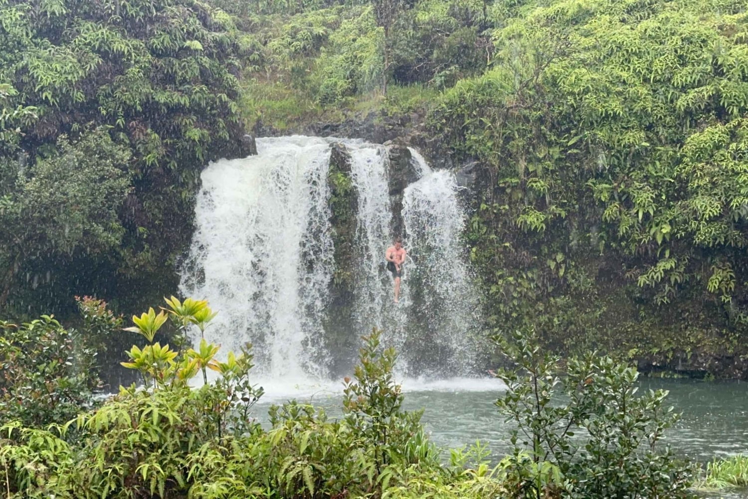 マウイ島：熱帯雨林アドベンチャー（写真付き）
