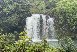 Maui: Regnskogseventyr til Hana med bilder