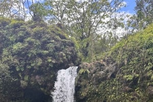 マウイ島：熱帯雨林アドベンチャー（写真付き）
