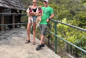 マウイ島：熱帯雨林アドベンチャー（写真付き）