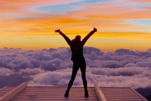 マウイ島：熱帯雨林アドベンチャー（写真付き）