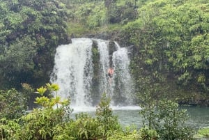 マウイ島：熱帯雨林アドベンチャー（写真付き）