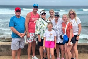 マウイ島：熱帯雨林アドベンチャー（写真付き）