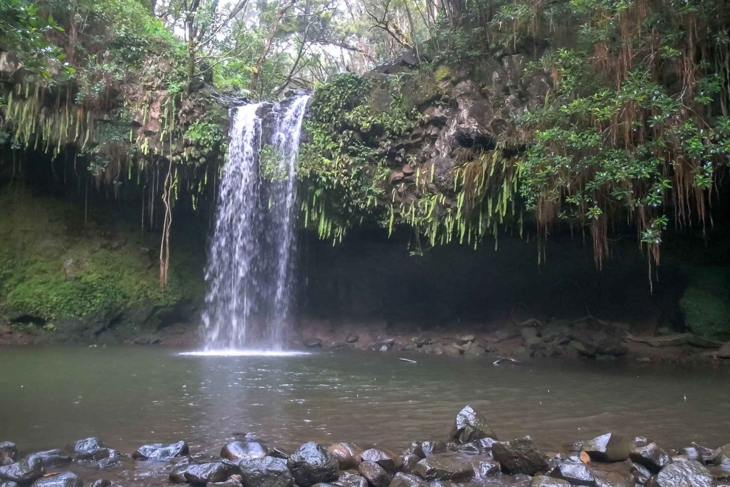 Maui: Road to Hana 4Hr GPS selvstyrt lydkjøringstur