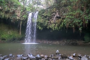 Maui: Road to Hana 4Hr GPS selvstyrt lydkjøringstur