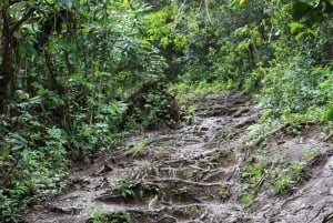 Maui: Road to Hana 4Hr GPS selvstyrt lydkjøringstur