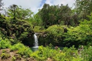 Maui: Road to Hana Adventure with Breakfast & Lunch