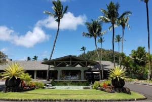 Maui: Road to Hana -seikkailu aamiaisella ja lounaalla