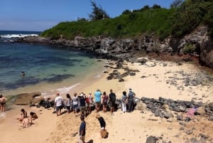 Maui: Excursão Estrada para Hana com Café da Manhã e Almoço