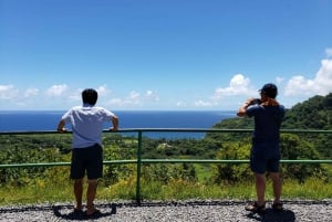 Maui: Road to Hana-eventyr med morgenmad og frokost