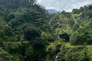 Pienryhmän koko päivän Road to Hana -seikkailuretki opastettuna