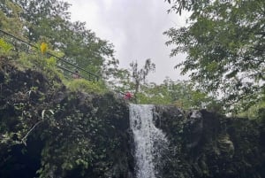 Pienryhmän koko päivän Road to Hana -seikkailuretki opastettuna