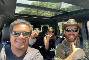 Maui: Road to Hana Private Adventure Tour with Luxury SUV