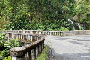 Maui: Road to Hana Private Adventure Tour with Luxury SUV