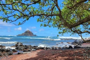 Maui: VIP-matka Hanaan avoautolla