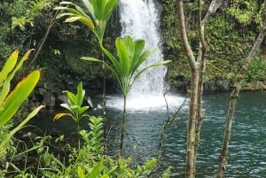 Maui: VIP-matka Hanaan avoautolla
