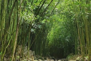 Maui: VIP-matka Hanaan avoautolla