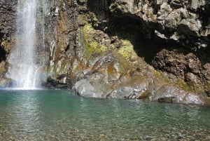 Maui: VIP-matka Hanaan avoautolla