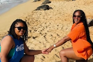 Maui: VIP-matka Hanaan avoautolla