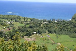 Maui: Tour guidato Road to Hana con Polaris Slingshot