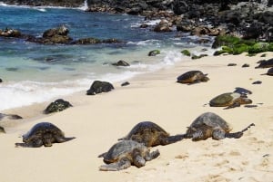 Maui: Samodzielna wycieczka z przewodnikiem Polaris Slingshot Road to Hana