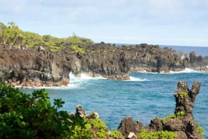 Maui : Road to Hana Tour c/ serviço de busca perto do porto de cruzeiros