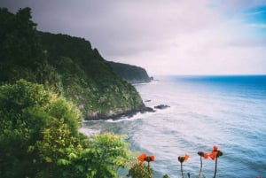 Maui: tur til Hana med lunsj