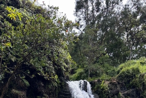 Maui: Road to Hana-tur med bilder og musikkvideo