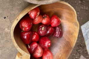 Maui: Road to Hana-tur med bilder og musikkvideo